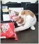 뻥튀기 도난사건
